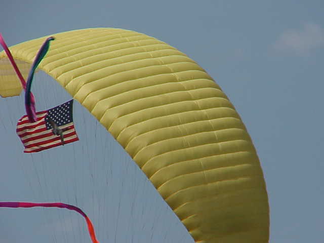Bruce's flag