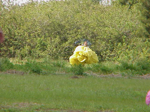 Landing in the weeds