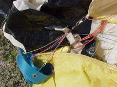 bruce's glider