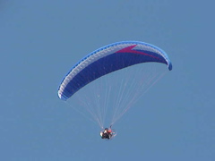 unknown pilot
